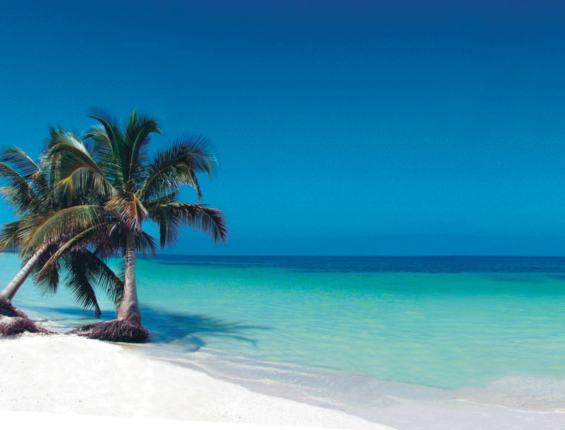 Cayo Levisa